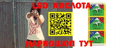 стафф Лесосибирск