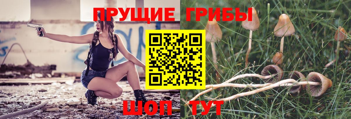 Псилоцибиновые грибы Cubensis  Вход с VPN  Ишимбай 