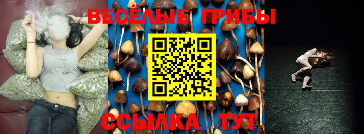 Галлюциногенные грибы Cubensis Ишимбай